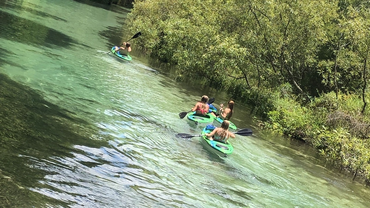 Photo of Others in Spring Hill