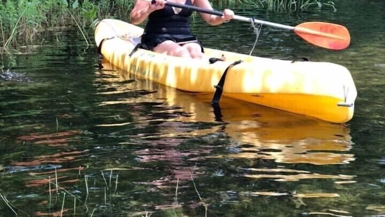 Photo of Others in West Wareham