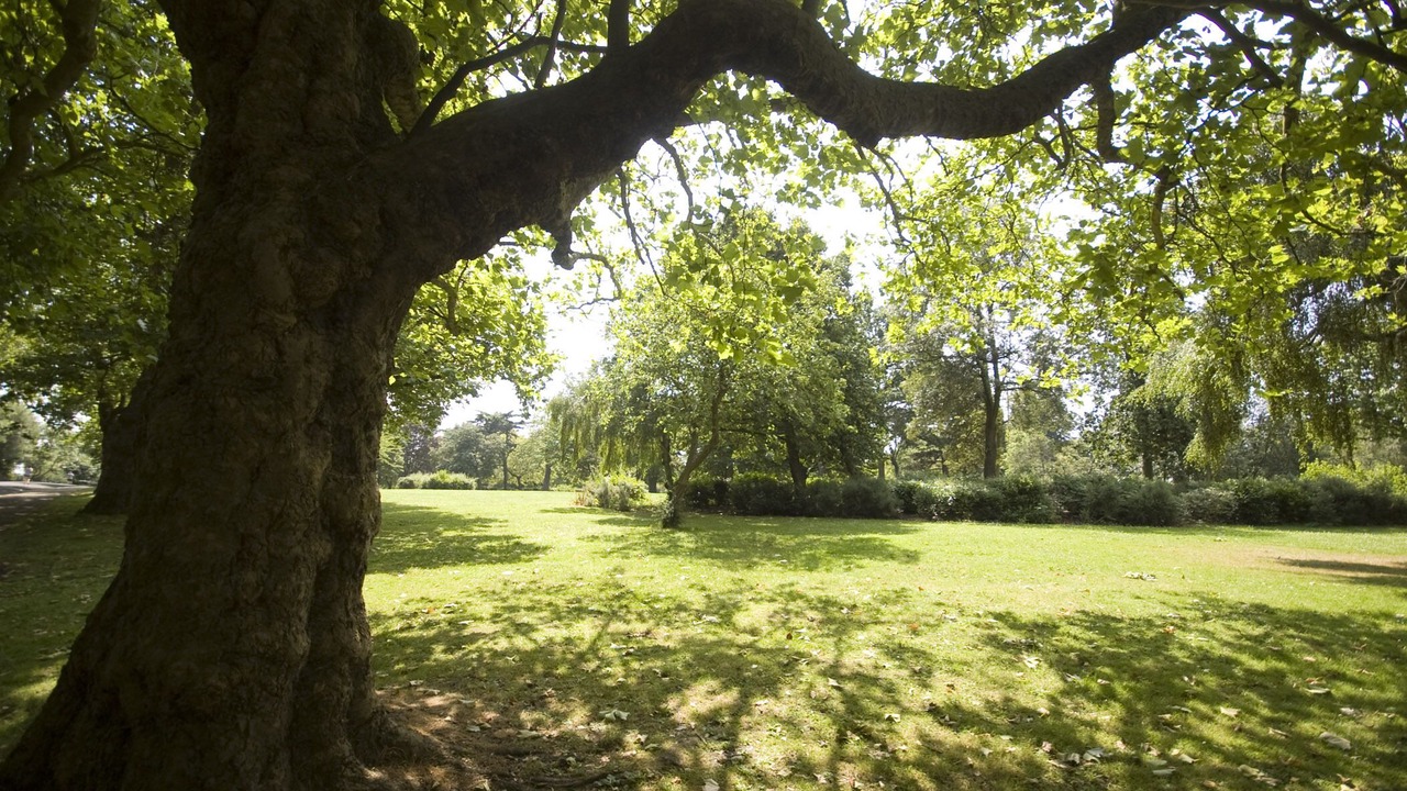 Photo of Others in Seven Sisters