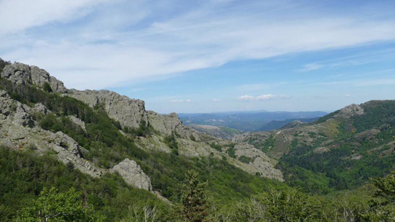 Photo of Others in Lacaune