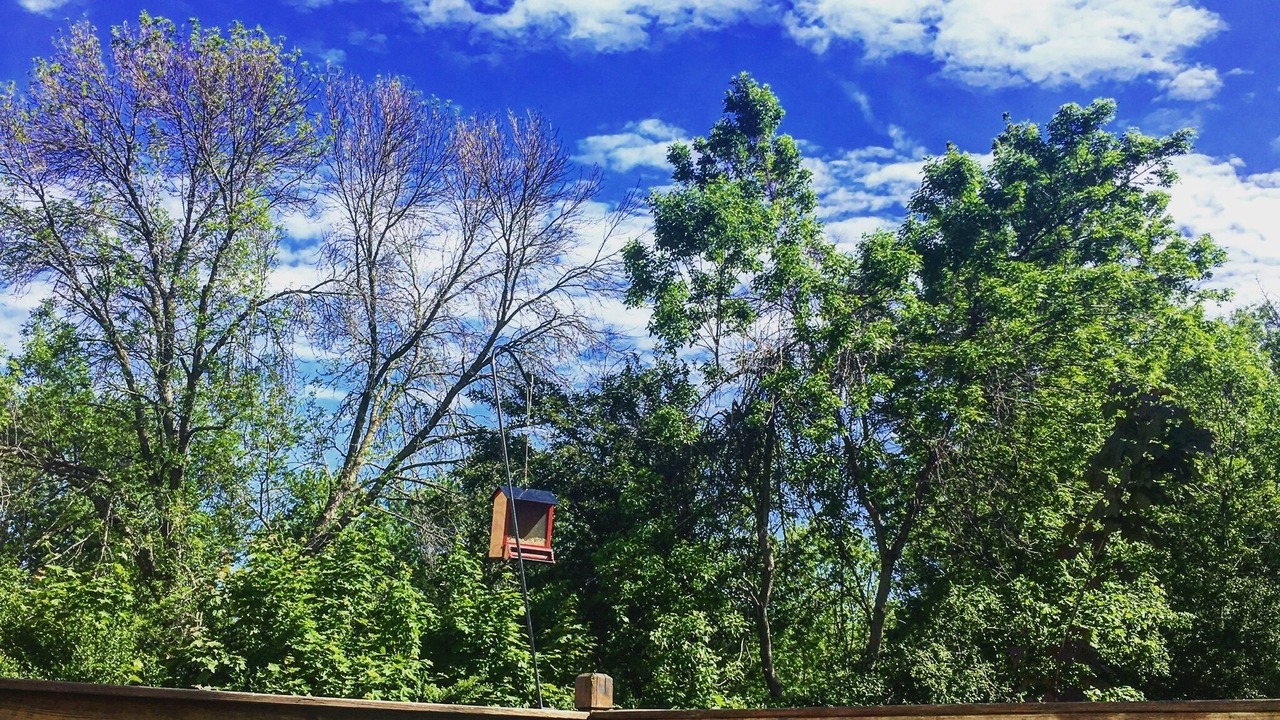 Photo of Outdoor in Albany