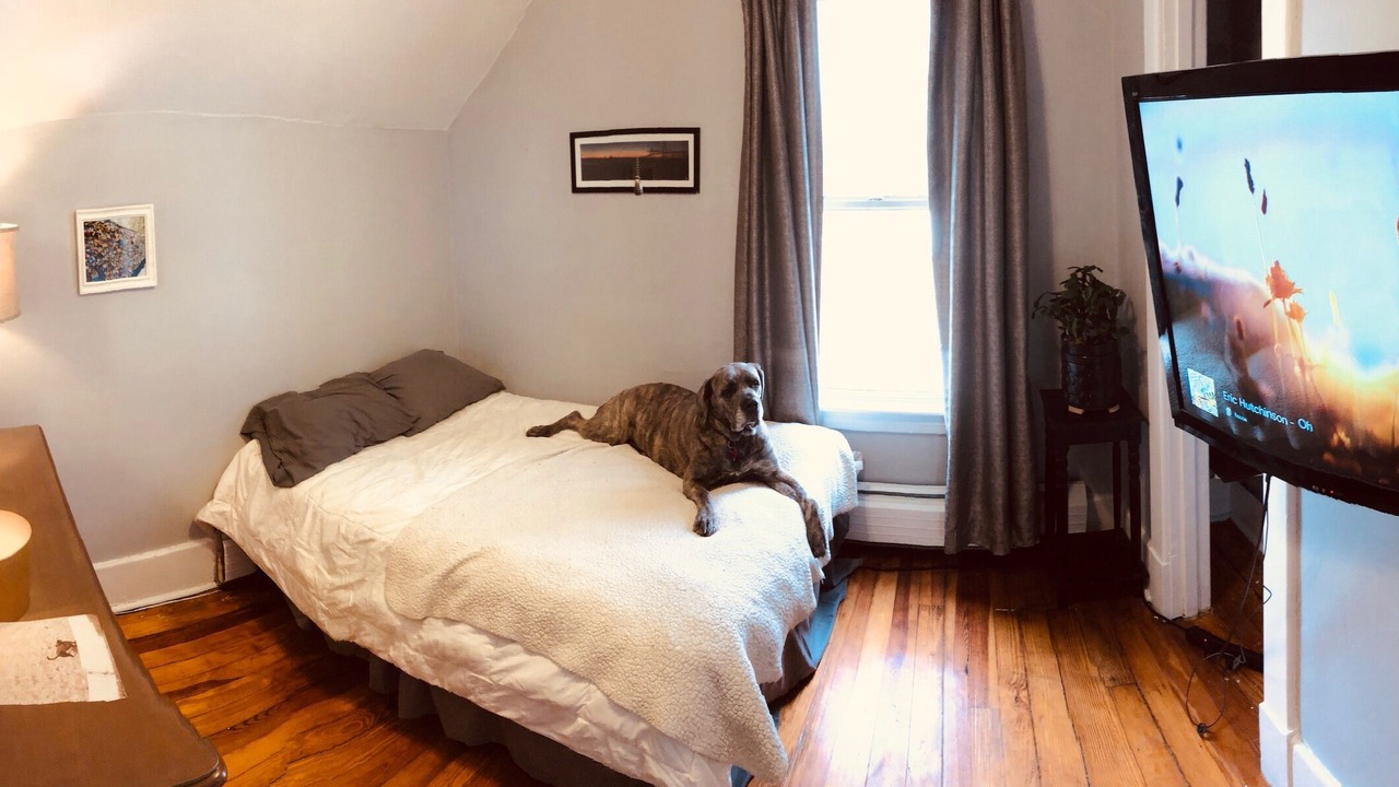 Photo of Bedroom in Albany