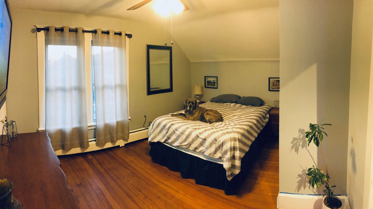 Photo of Bedroom in Albany