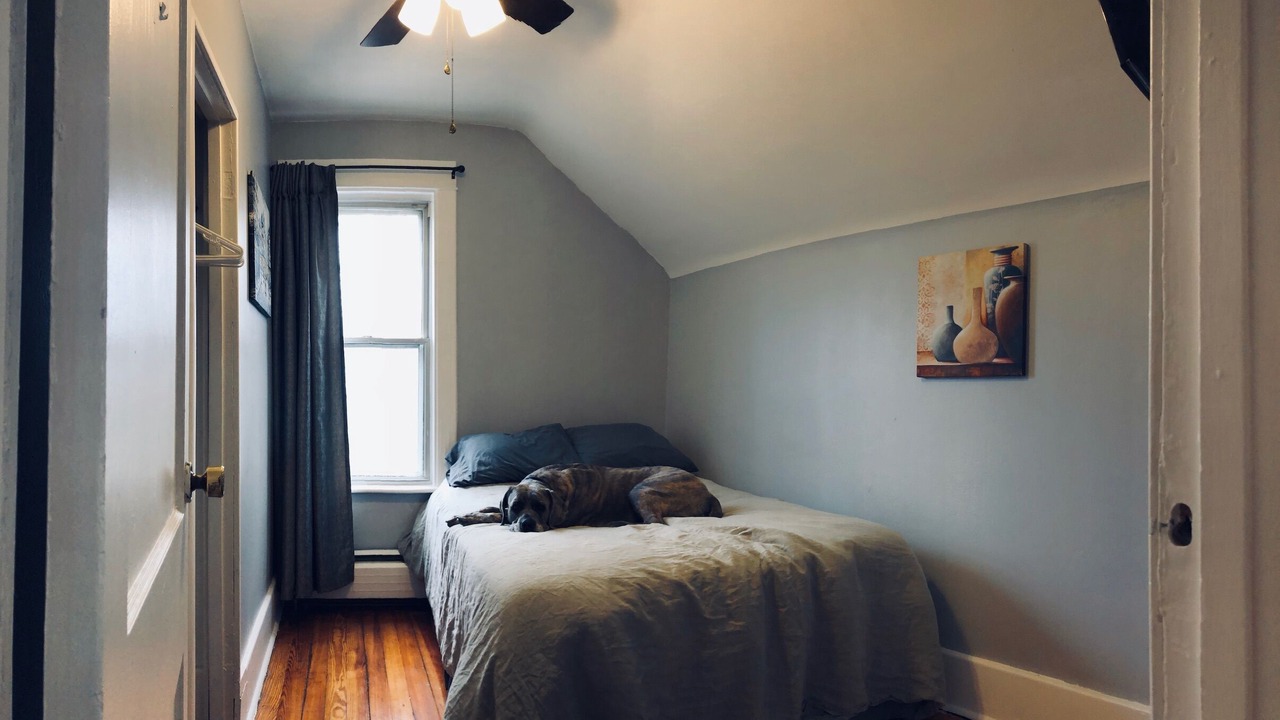 Photo of Bedroom in Albany