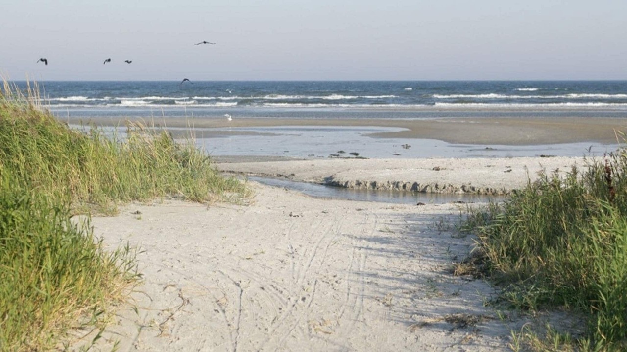 Photo of Others in Helberskov Strand