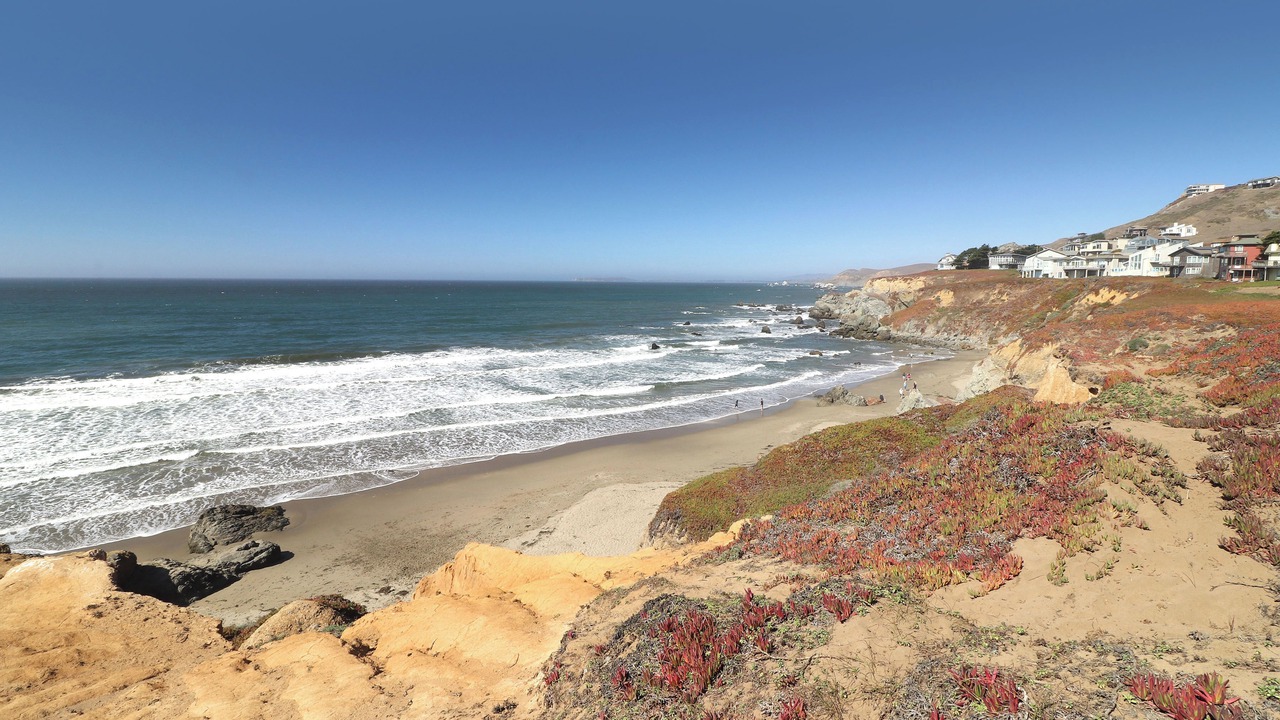 Photo of Others in Dillon Beach