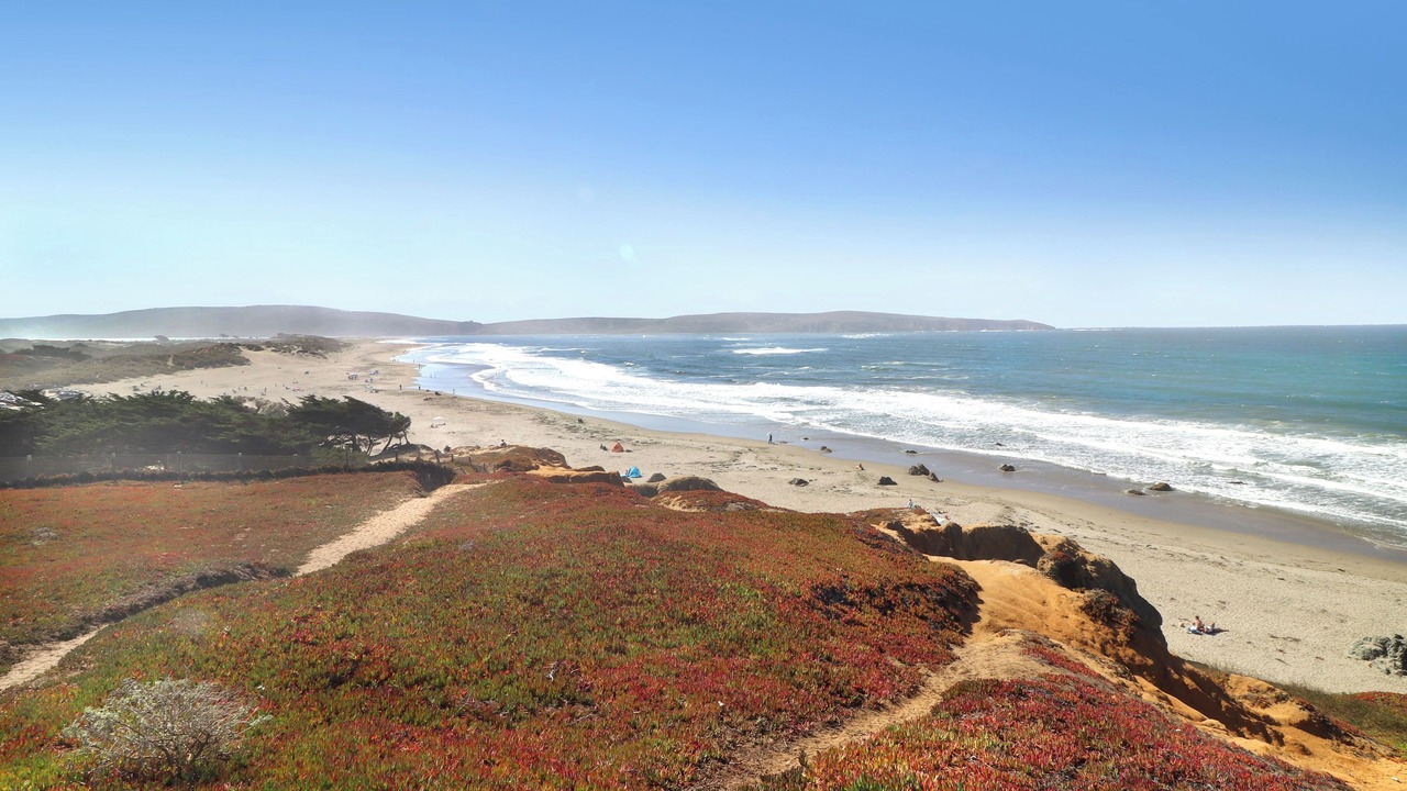 Photo of Others in Dillon Beach