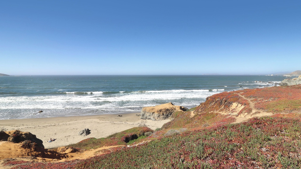 Photo of Others in Dillon Beach
