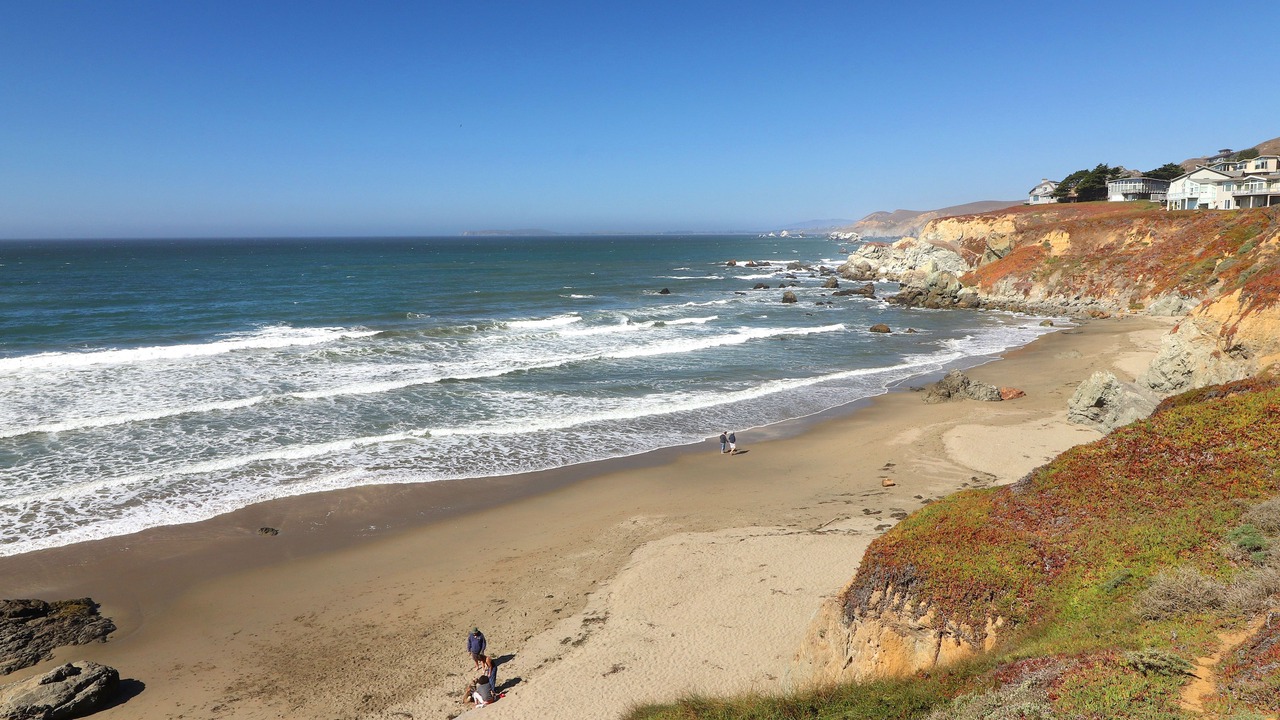 Photo of Others in Dillon Beach