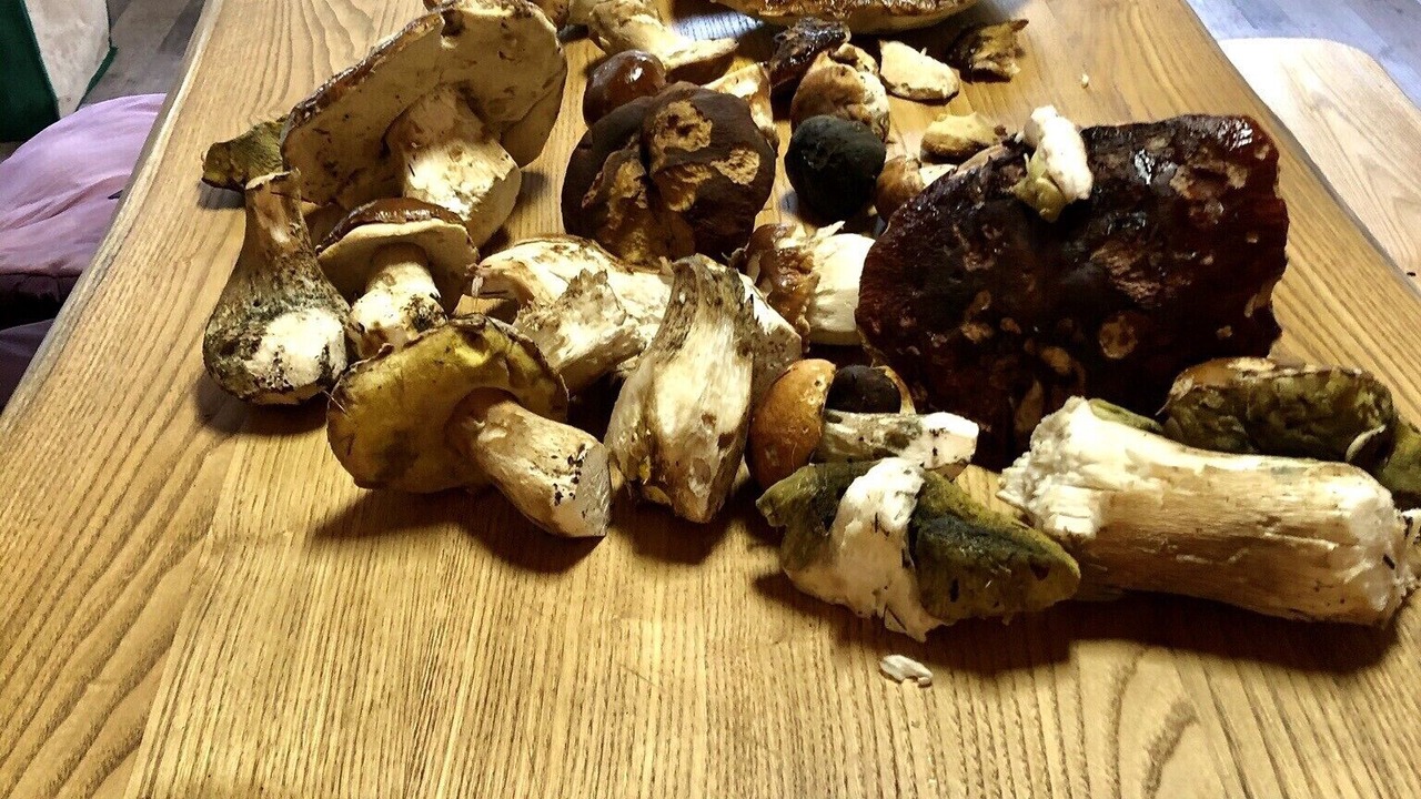 Photo of Others in Villefort