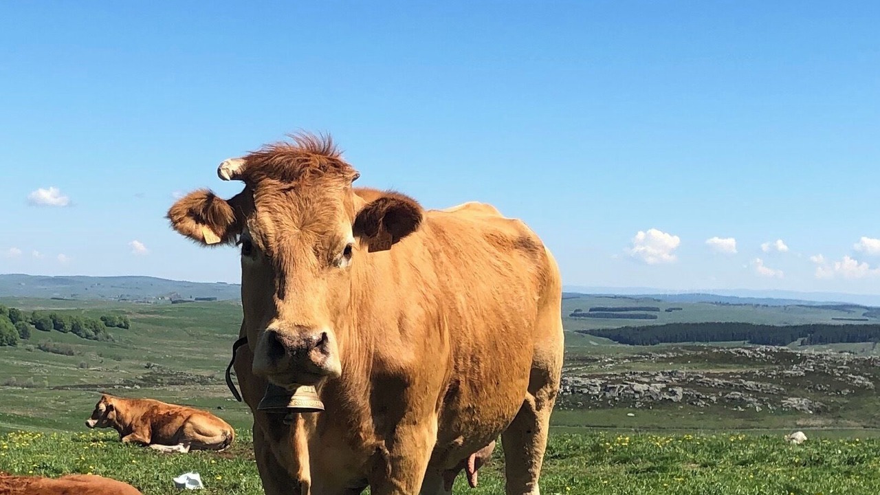 Photo of Others in Villefort