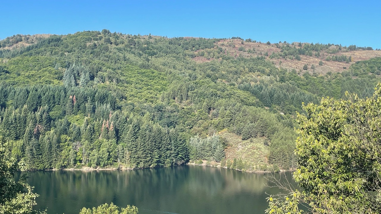 Photo of Others in Villefort