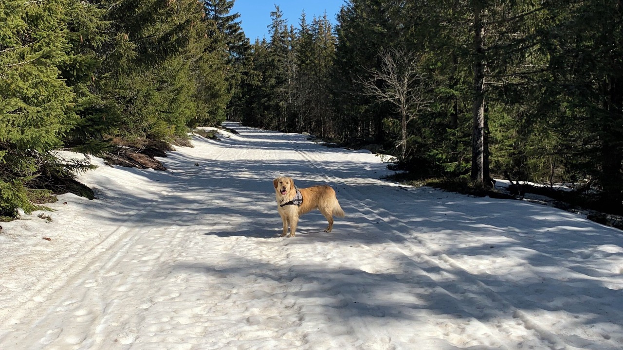 Photo of Others in Villefort