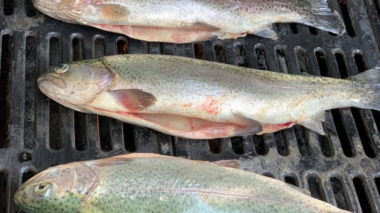 Photo of Others in Villefort