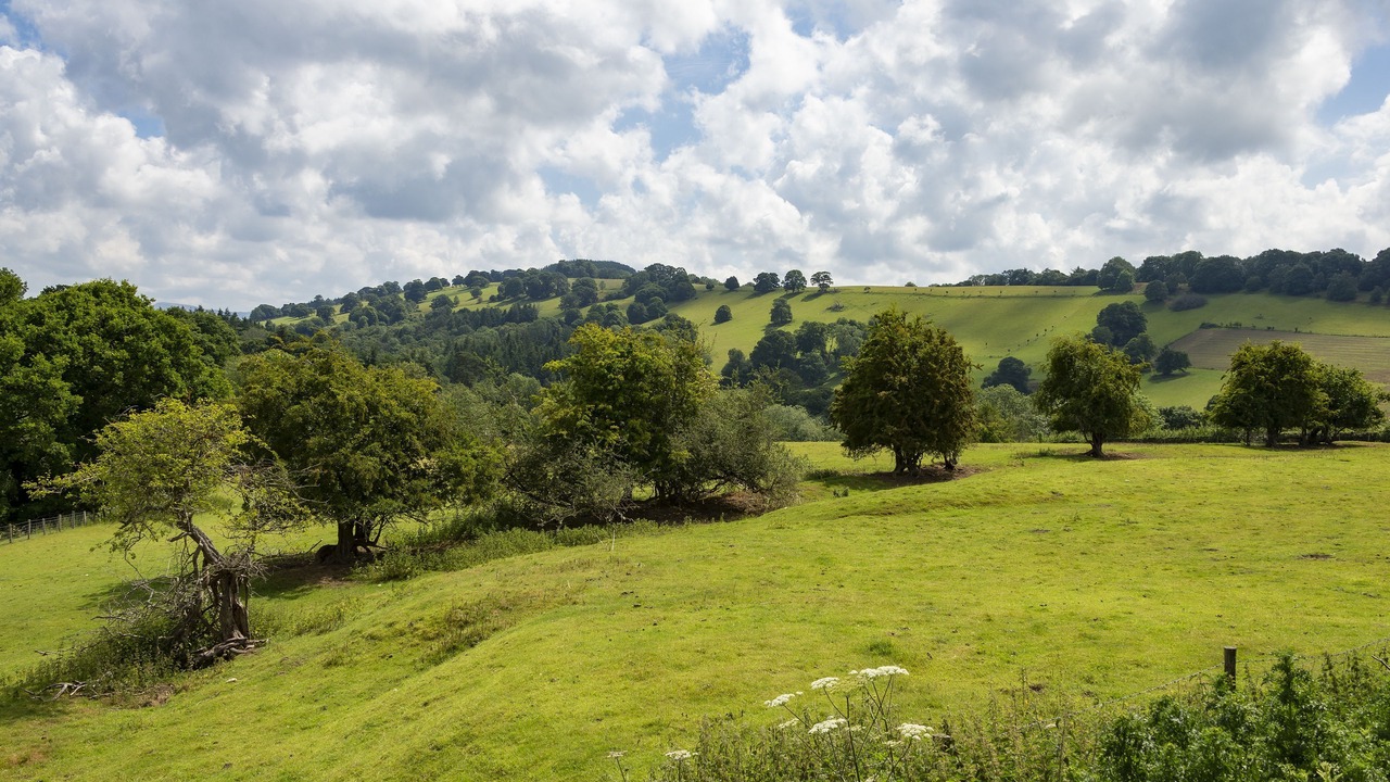 Photo of Others in Downton on the Rock