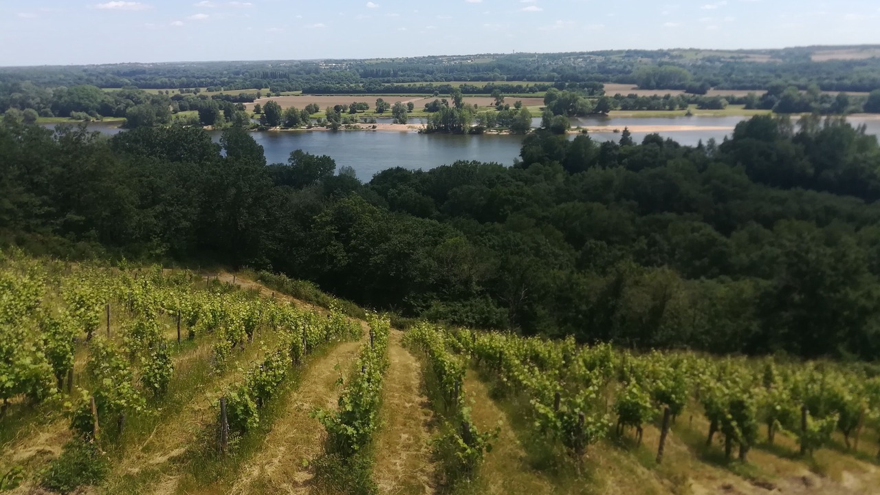 Photo of Outdoor in Bouchemaine