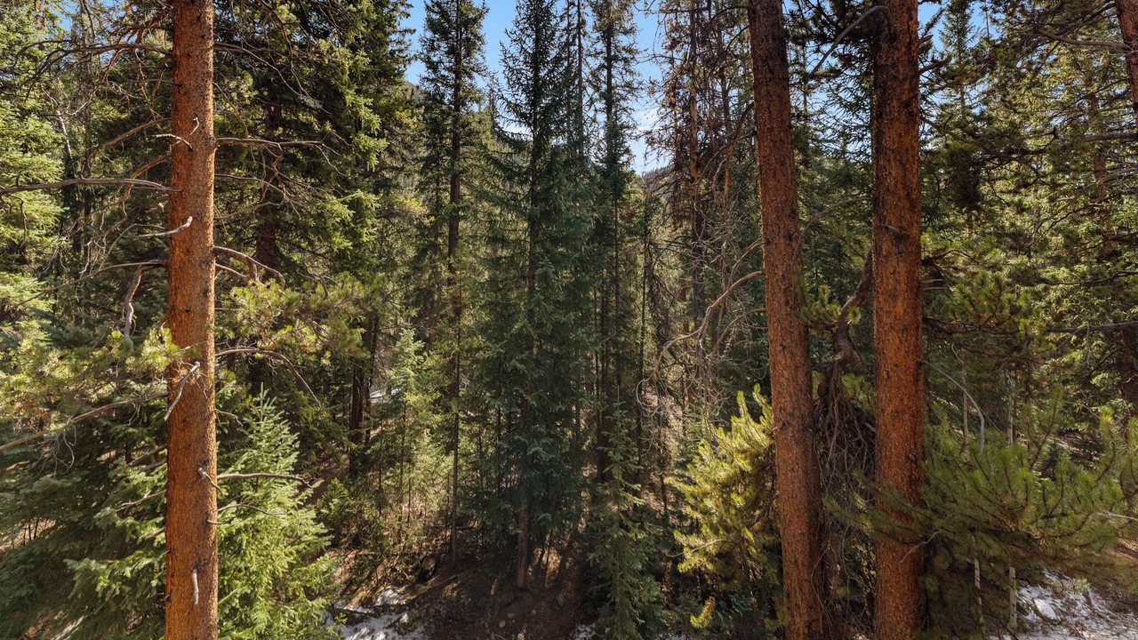 Photo of Others in Keystone