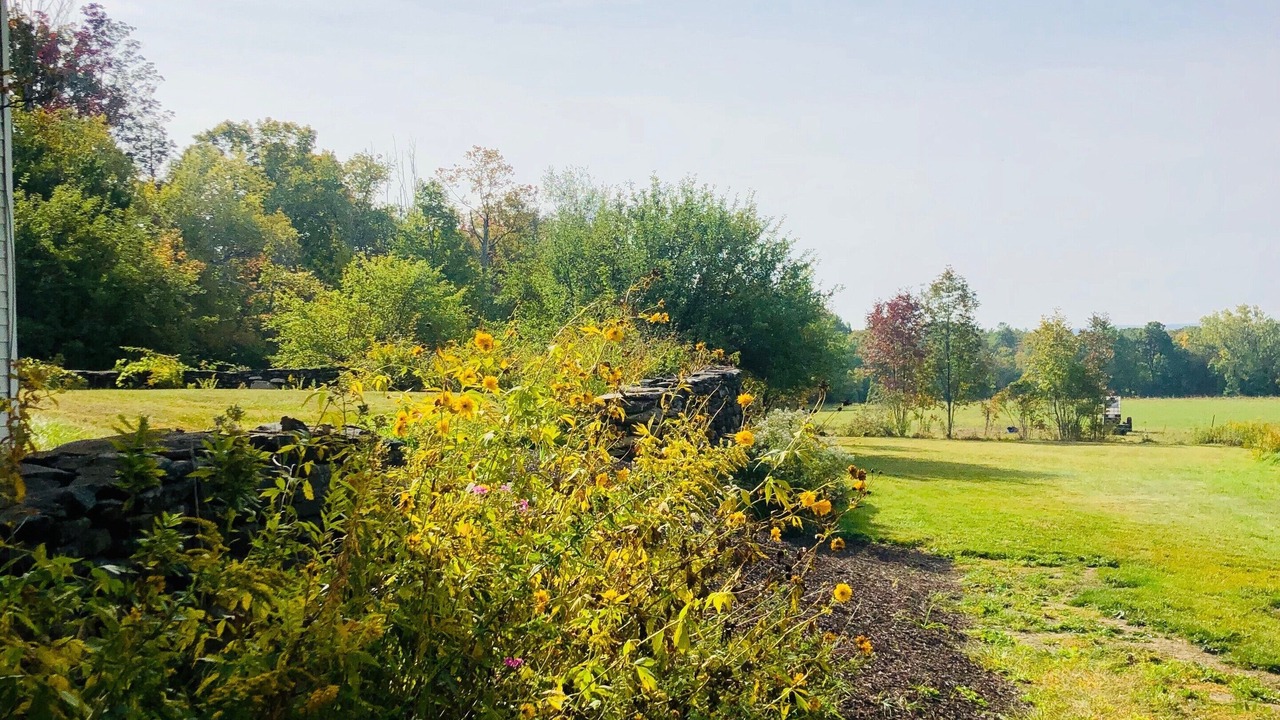 Photo of Outdoor in Worthington