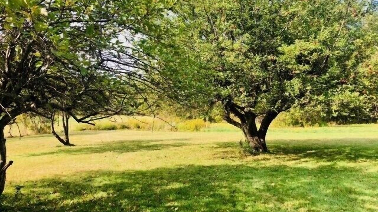 Photo of Others in Worthington