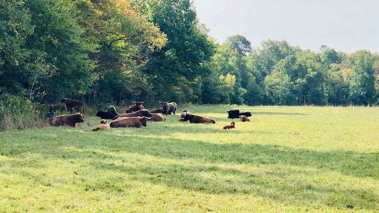 Photo of Others in Worthington