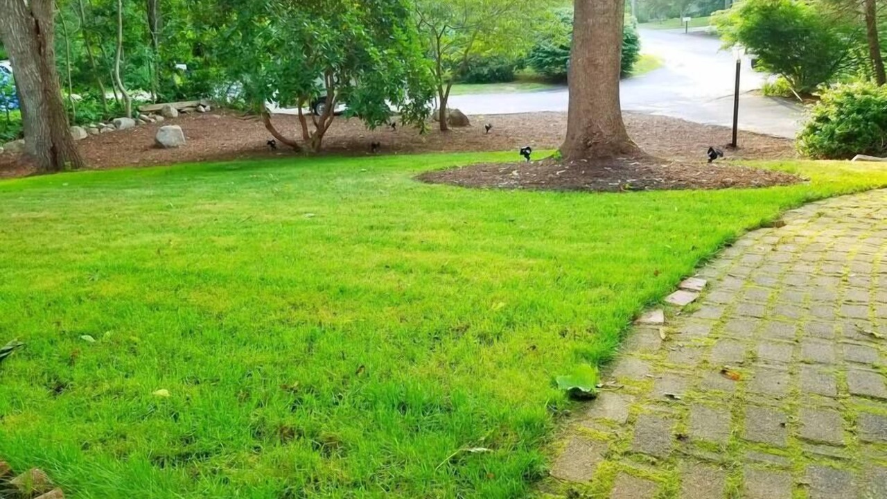 Photo of Others in West Falmouth