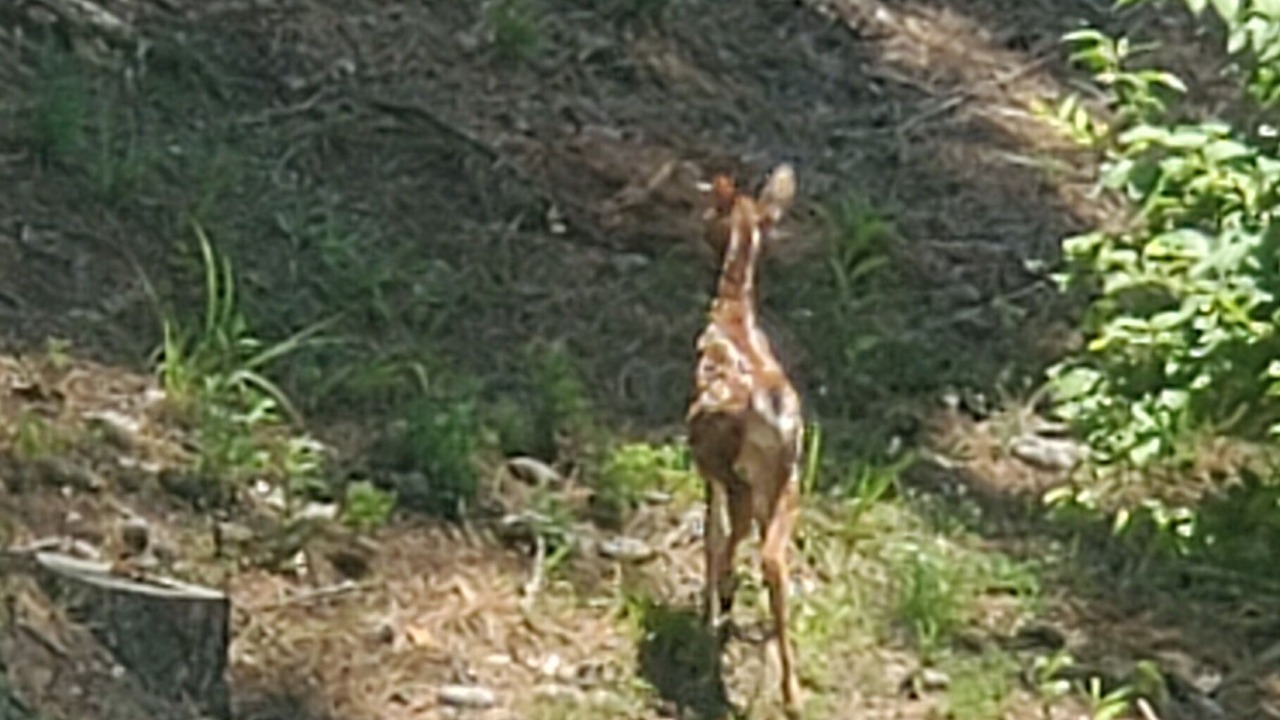 Photo of Outdoor in Bristol