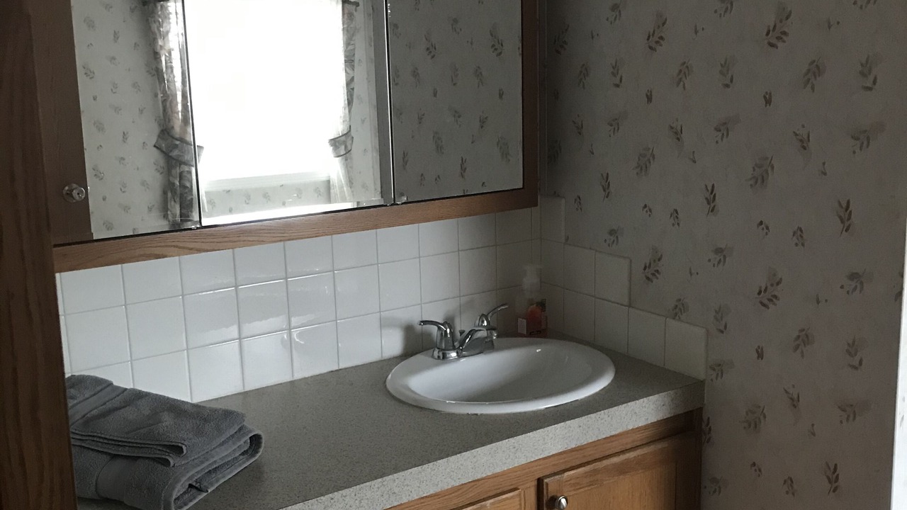 Photo of Bathroom in Monroe City