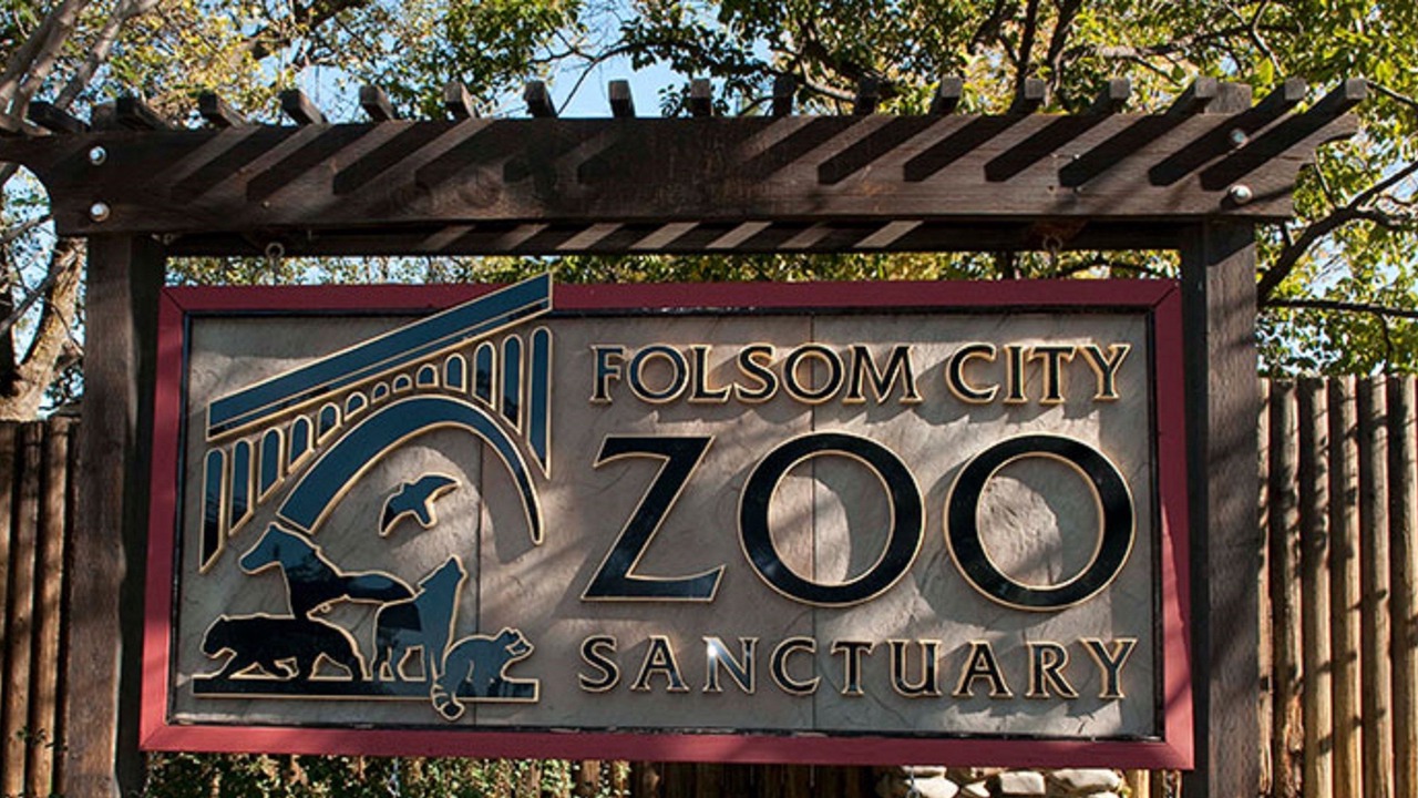 Photo of Others in Folsom