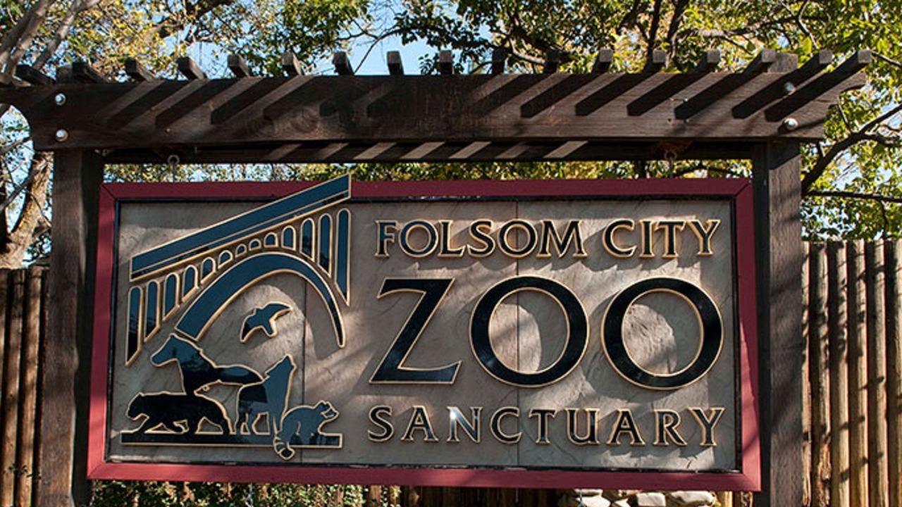 Photo of Others in Folsom