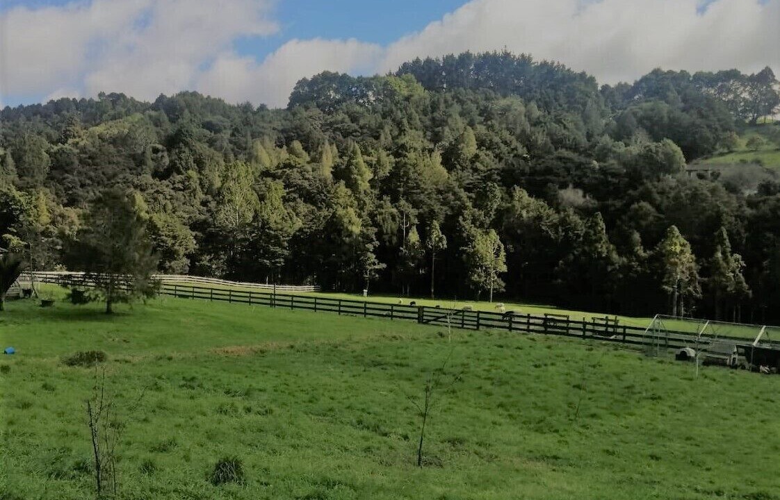 Photo of Outdoor in Te Arai