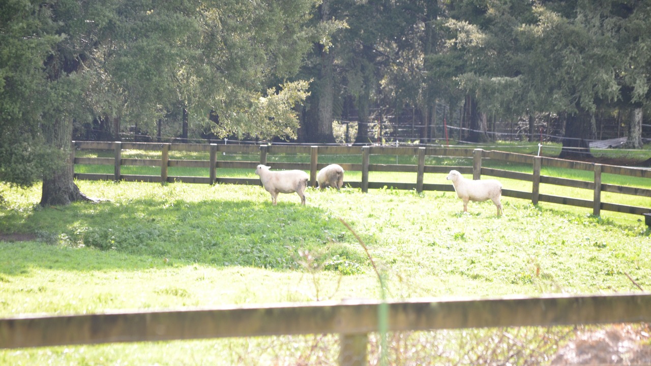 Photo of Outdoor in Te Arai