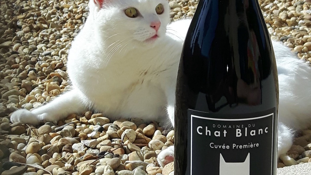 Photo of Outdoor in Saint-Didier