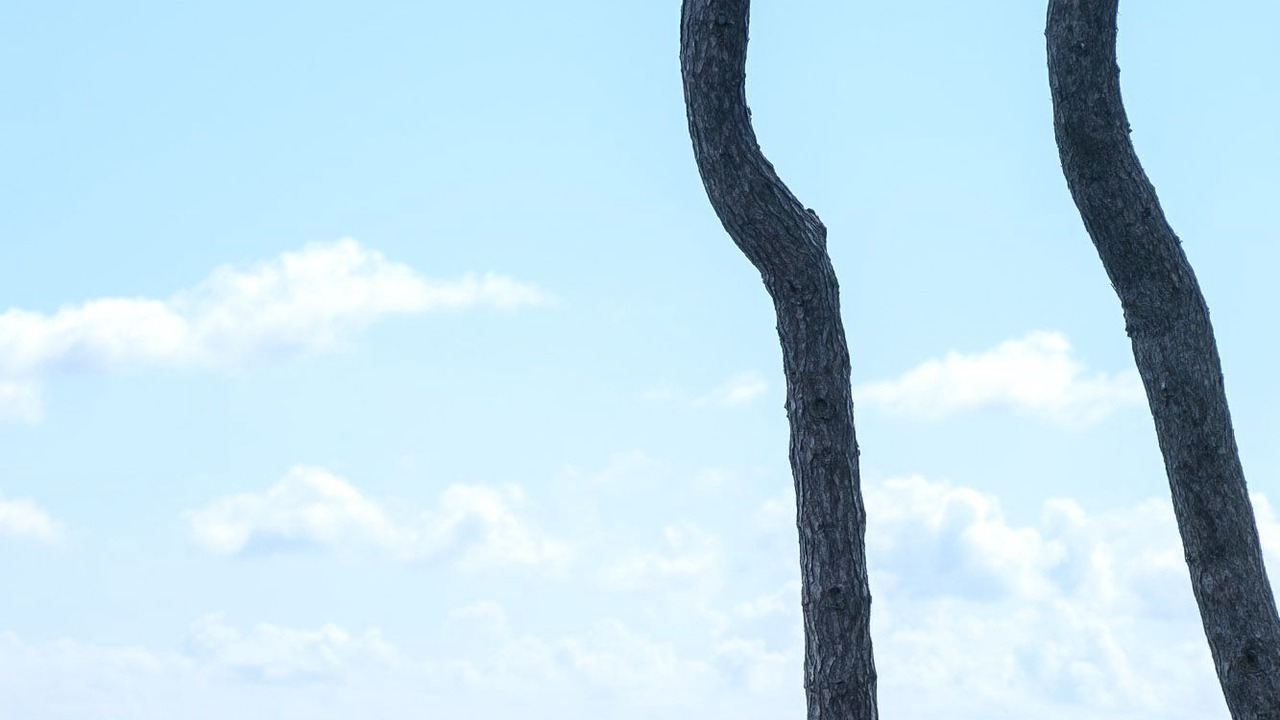 Photo of Others in Leiston