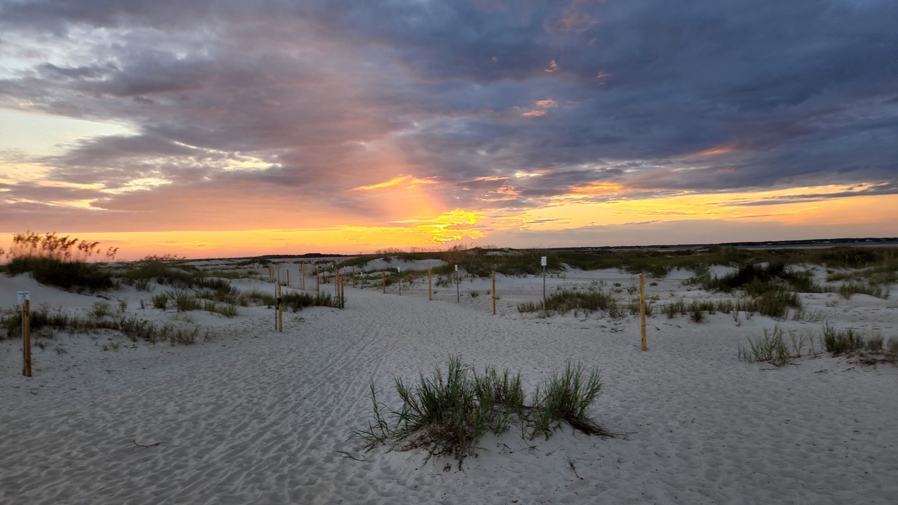Photo of Others in Emerald Isle