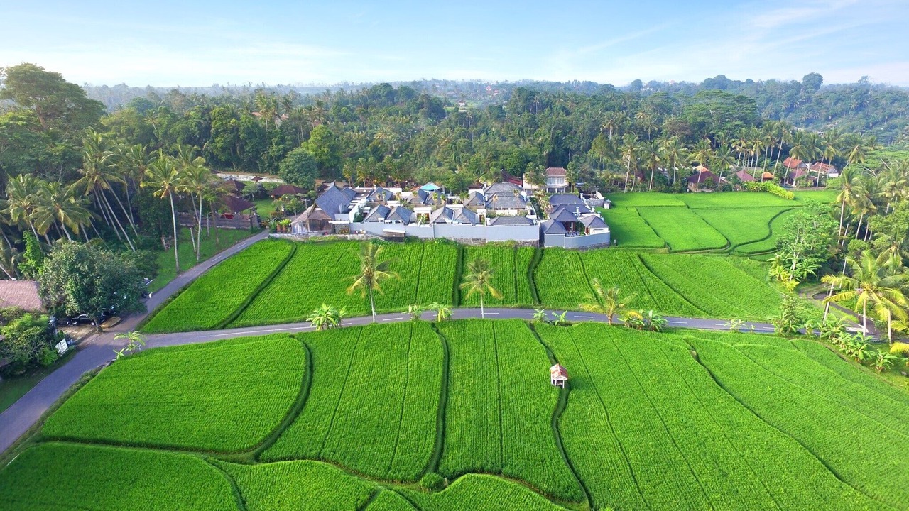 Photo of Outdoor in Kelusa