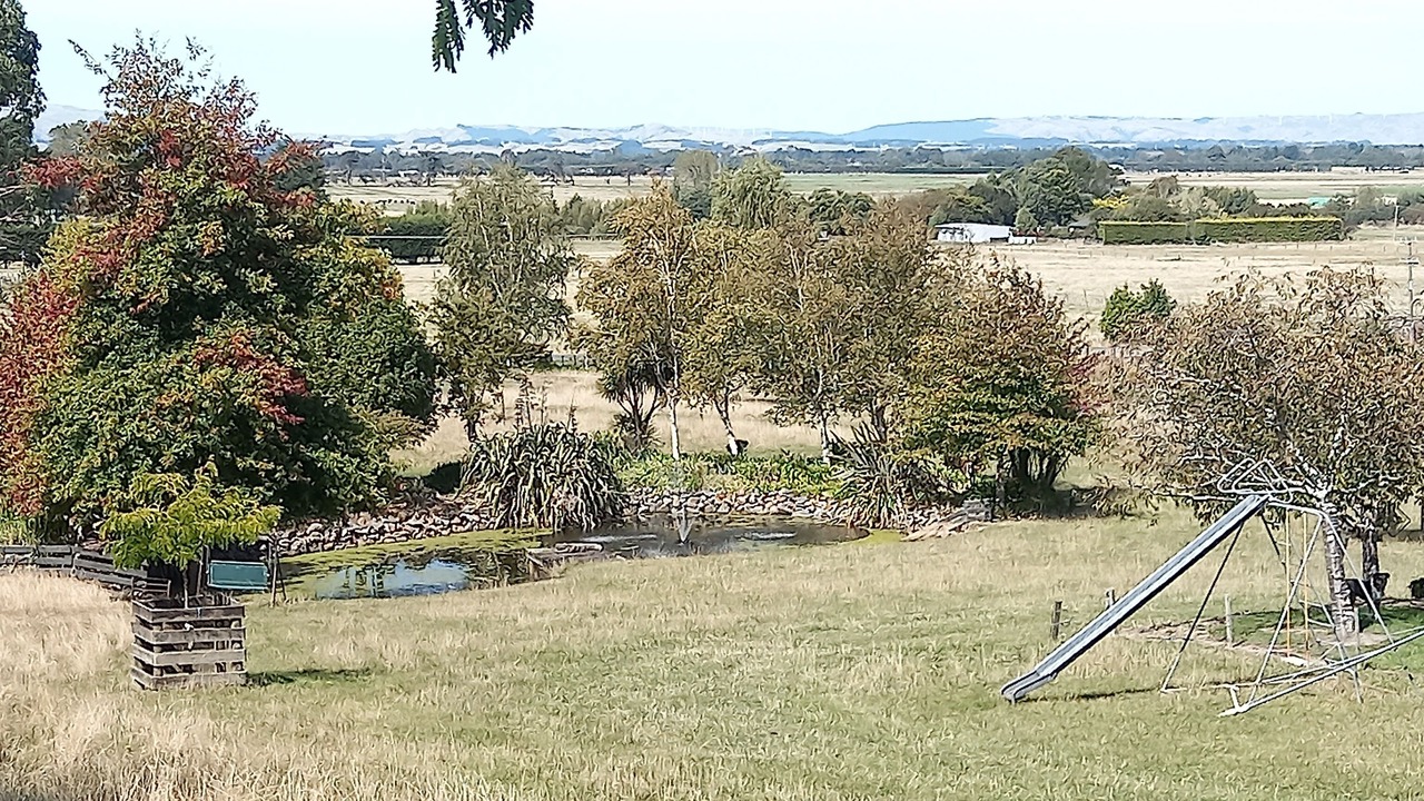 Photo of Outdoor in Feilding