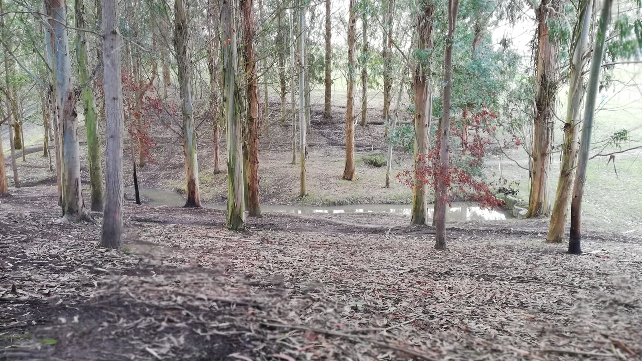 Photo of Outdoor in Feilding