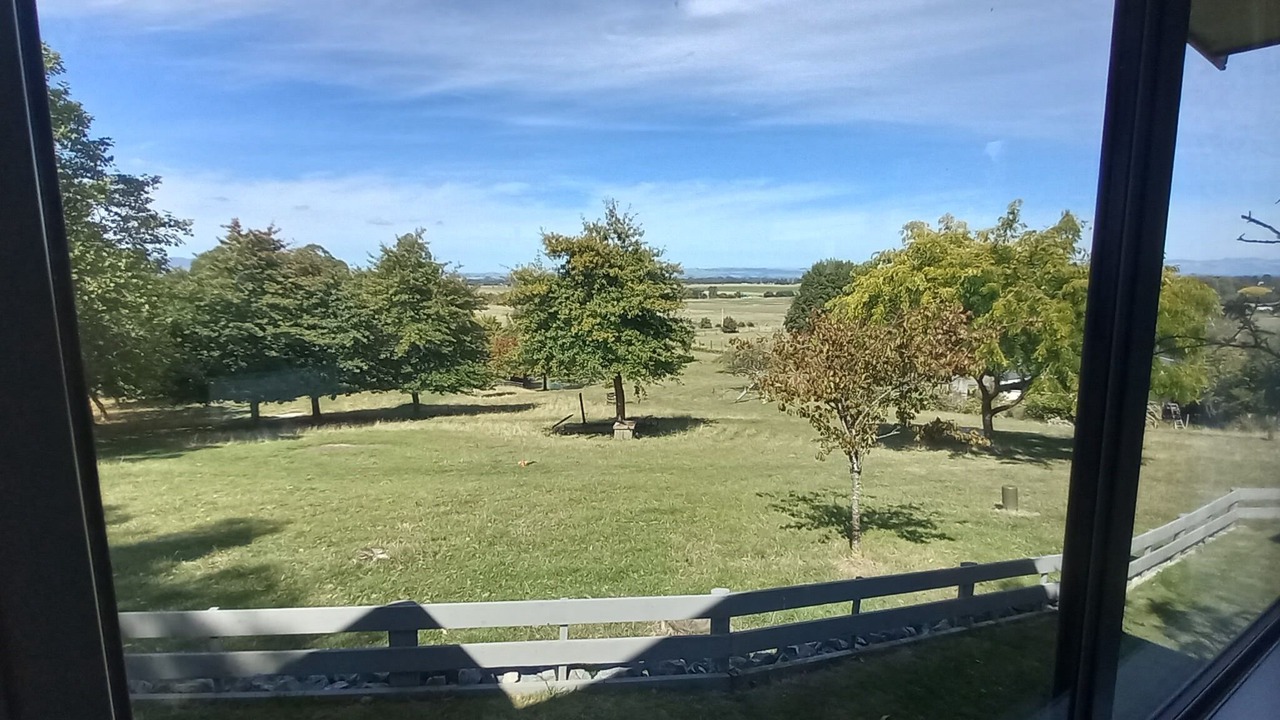 Photo of Others in Feilding