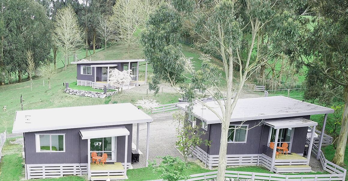 Photo of Others in Feilding