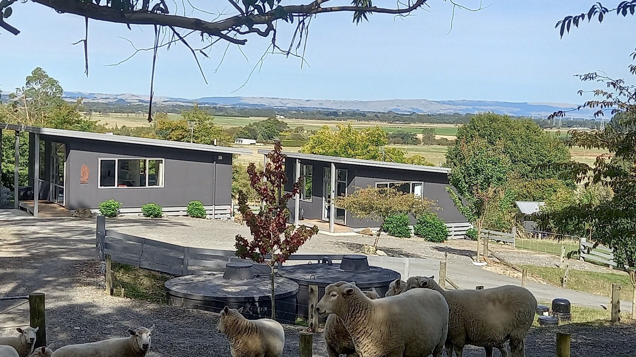 Photo of Outdoor in Feilding