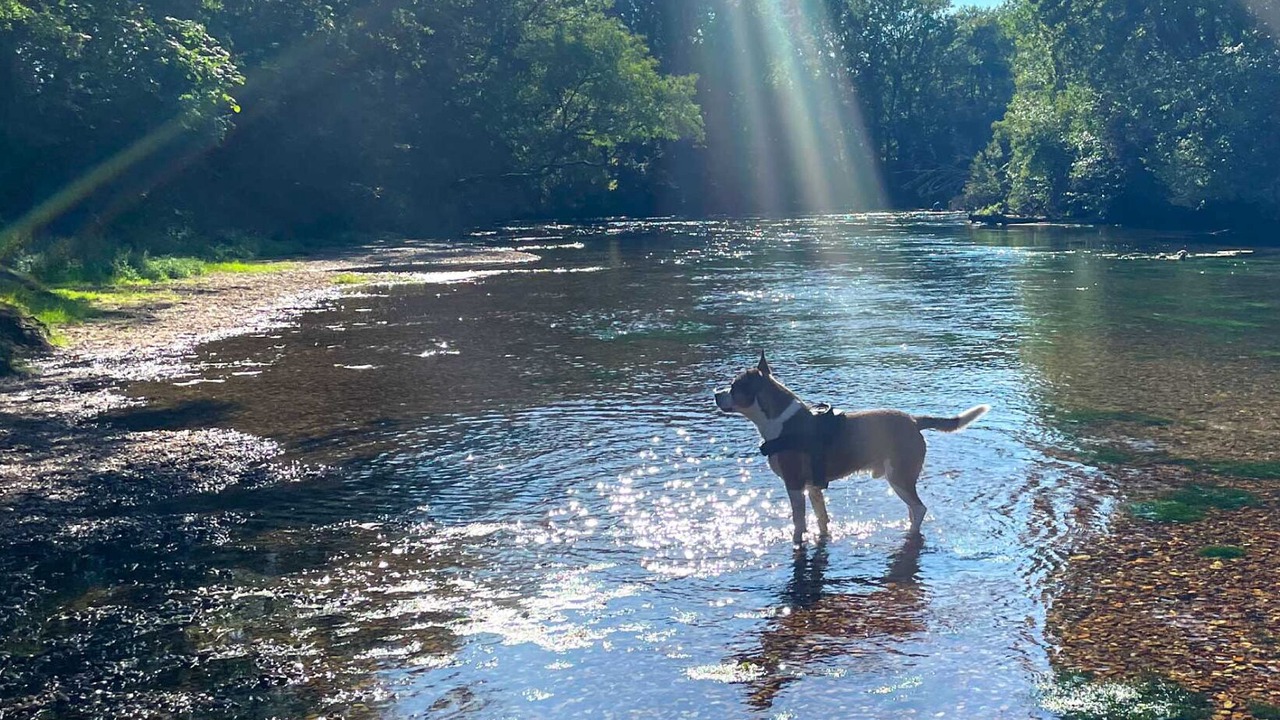 Photo of Others in Saint-Hilaire-Saint-Mesmin