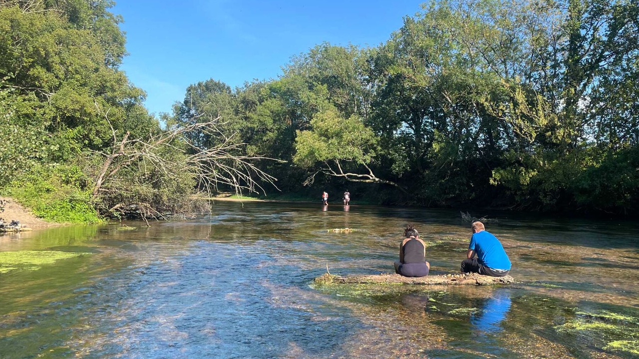 Photo of Others in Saint-Hilaire-Saint-Mesmin