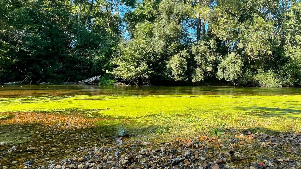 Photo of Others in Saint-Hilaire-Saint-Mesmin