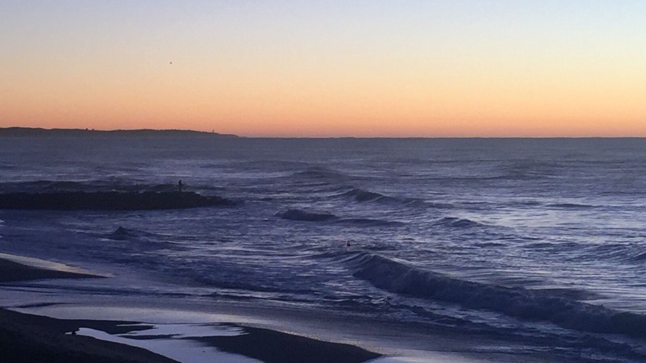 Photo of Others in The Entrance