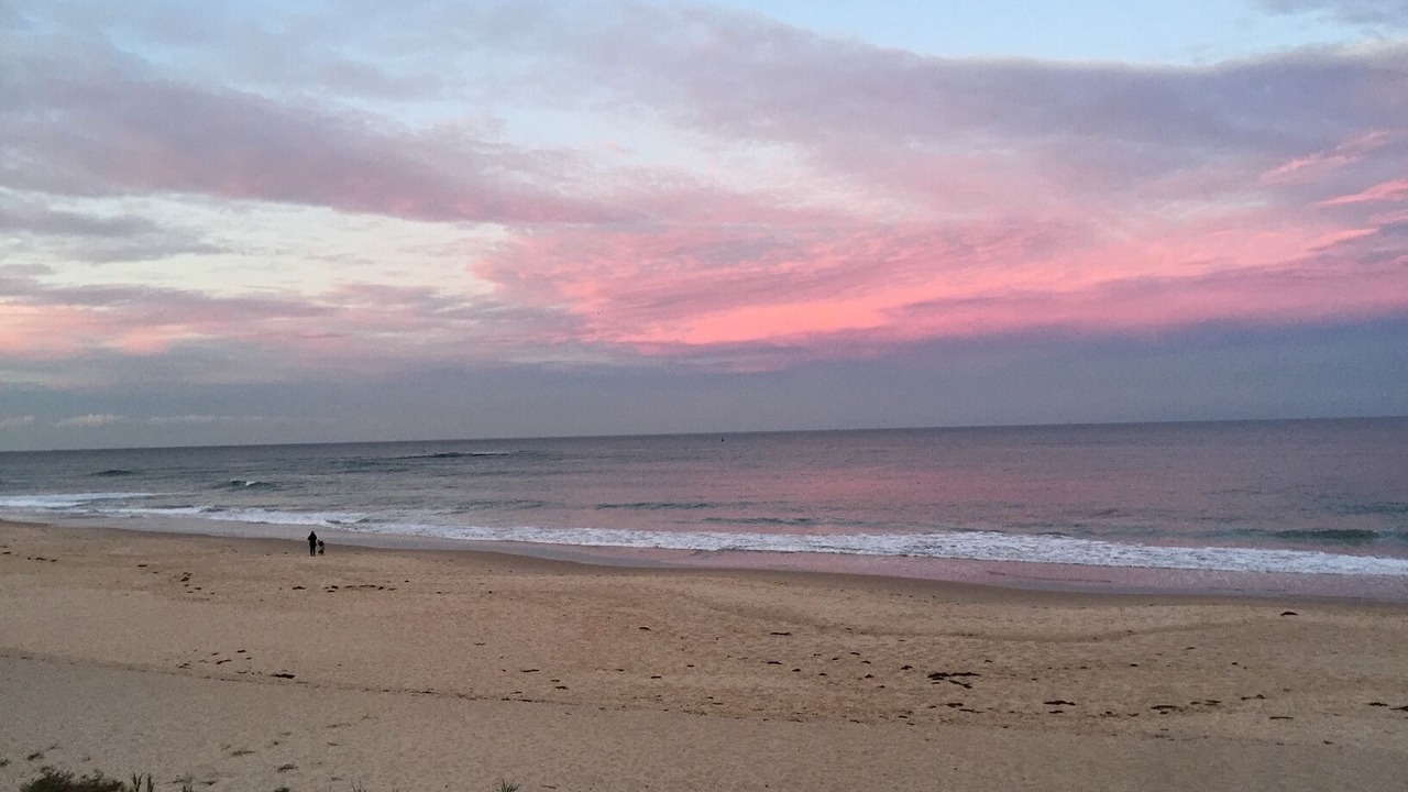 Photo of Others in The Entrance