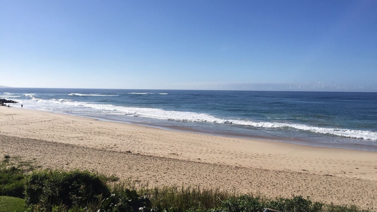 Photo of Others in The Entrance