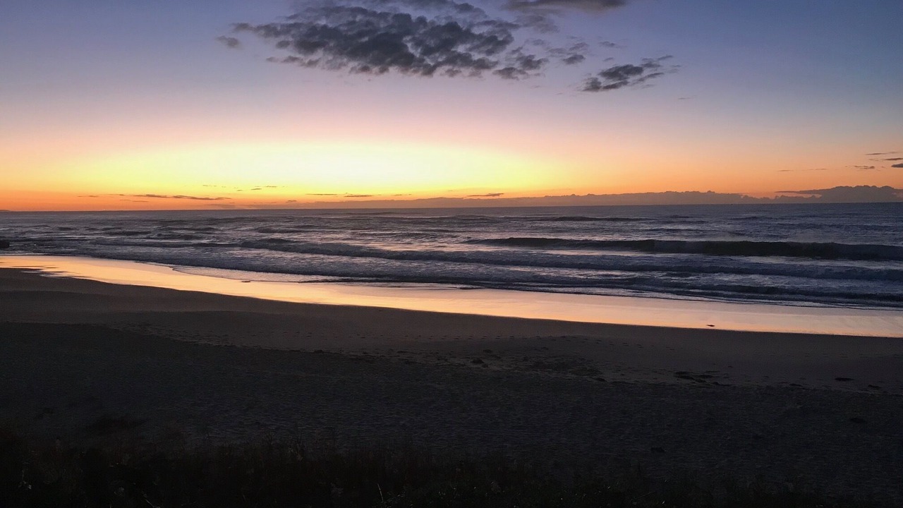 Photo of Others in The Entrance