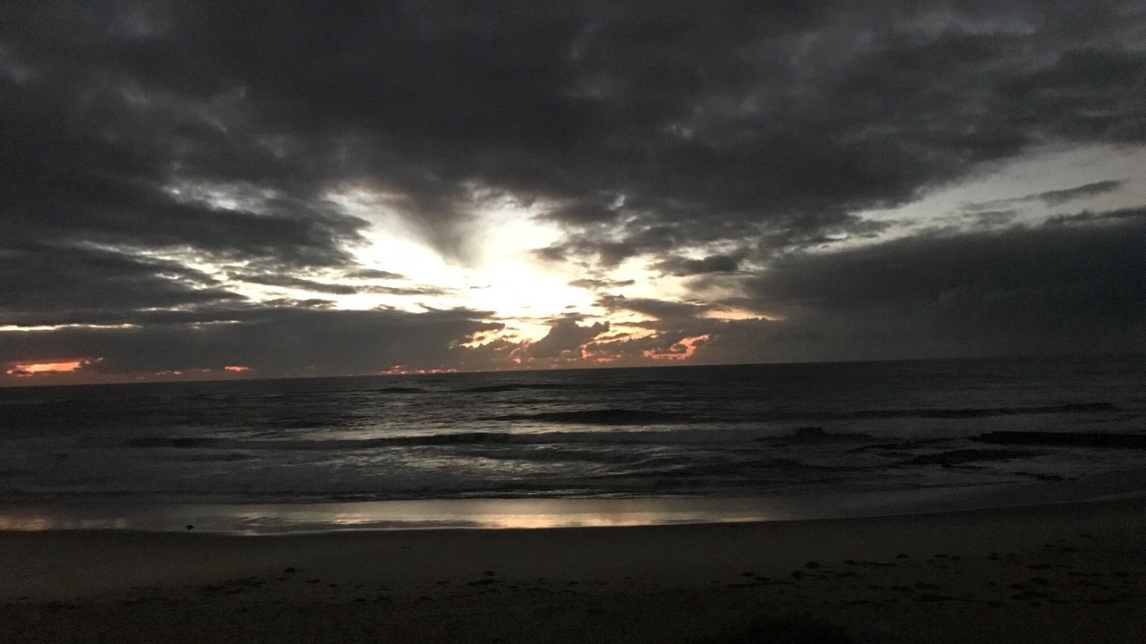 Photo of Others in The Entrance