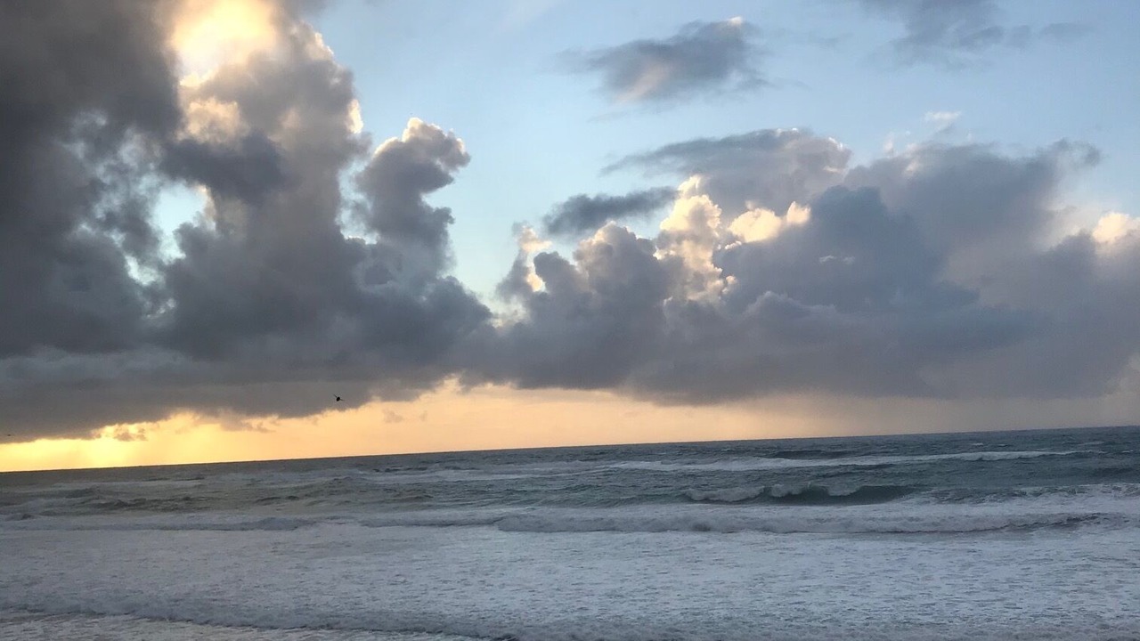 Photo of Others in The Entrance