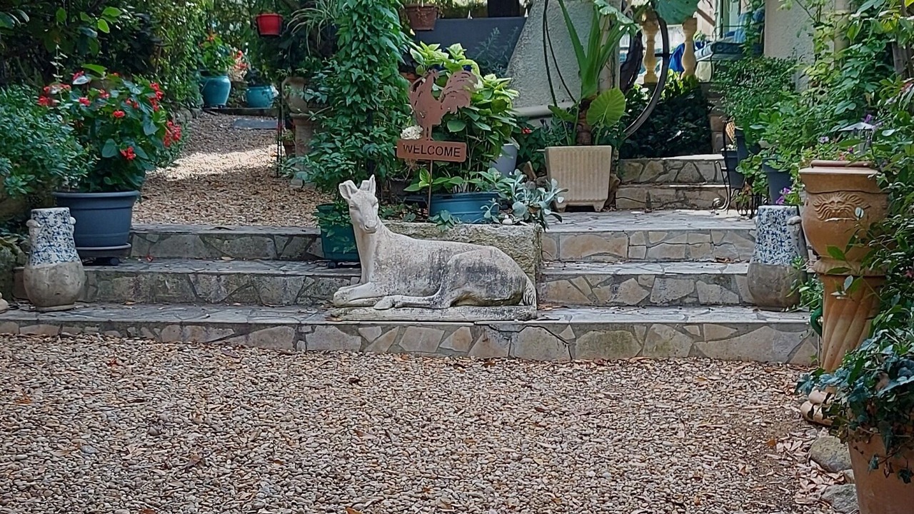 Photo of Outdoor in Restinclieres